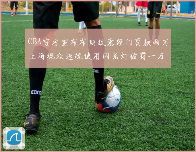 CBA官方宣布布朗故意蹬门罚款两万上海观众违规使用闪光灯被罚一万