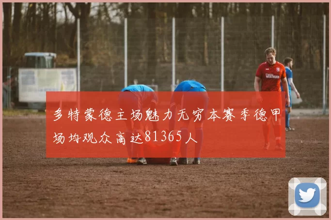 多特蒙德主场魅力无穷本赛季德甲场均观众高达81365人